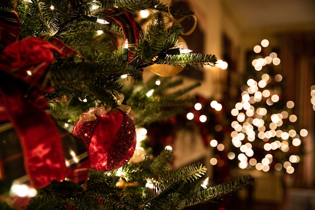 holiday-retail-shopping-mall-in-store-spending holiday-retail-shopping-mall-in-store-spending